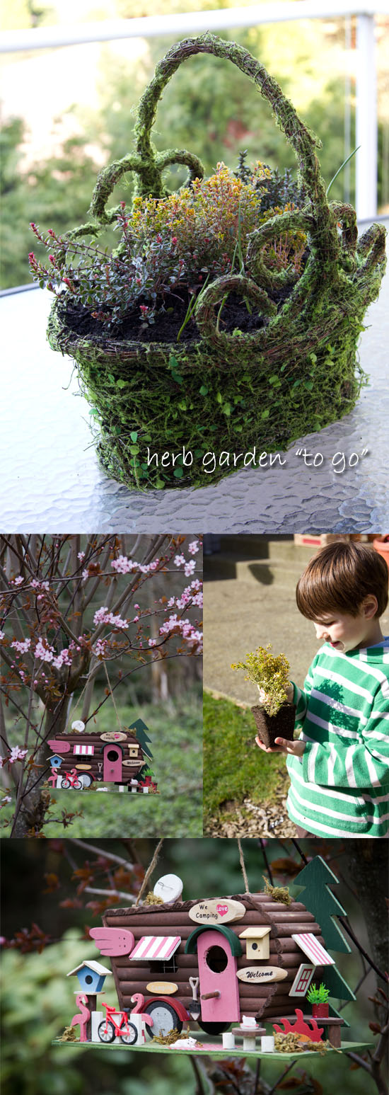 Gardening in Seattle