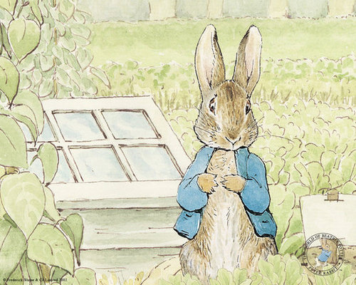 The Tale of Peter Rabbit The Tale of Peter Rabbit