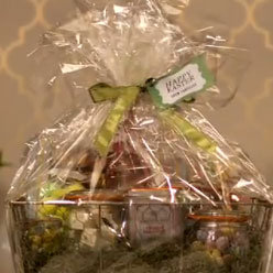 The Best of PopSugarTV March 24- March 30 2012
