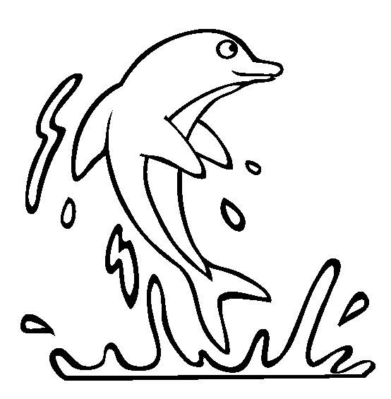 Colored Dolphin