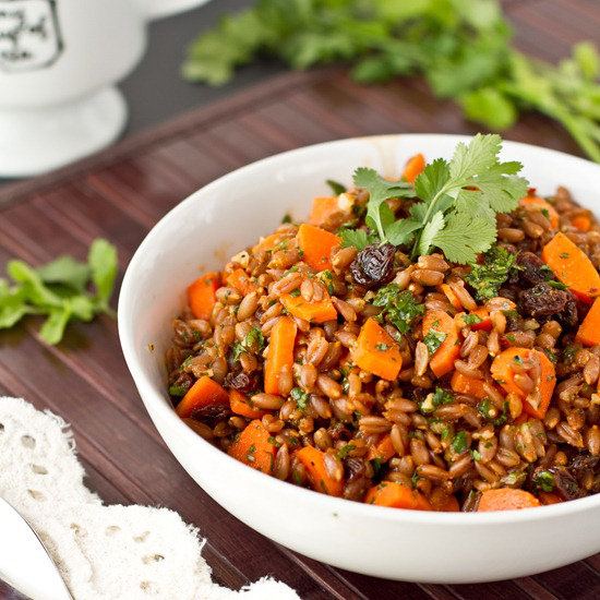 Chowing down on a big bowl of carrot raisin spelt berry salad with cumin and cilantro will be divine whether you enjoy it cold or heat it up. Haven't tried spelt berries before? Now is your shot! They're a great source of protein.
Chowing down on a big bowl of carrot raisin spelt berry salad with cumin and cilantro will be divine whether you enjoy it cold or heat it up. Haven't tried spelt berries before? Now is your shot! They're a great source of protein.