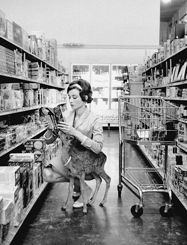 A Shopping Adventure