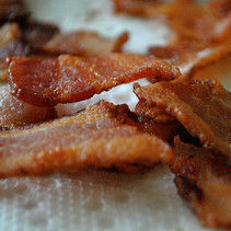 Bacon Reality TV Show Bacon Reality TV Show