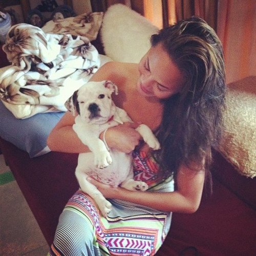 Puppy Love Puppy Love