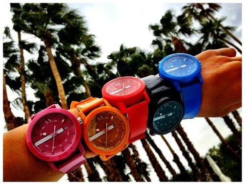 Which Watch? Which Watch?