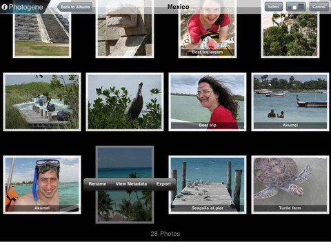 Photogene Photogene