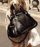 Chloe handbags The Simple Option With regard to Experienced Ladies