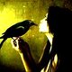 Raven801 Raven801