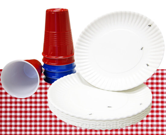 Not-So-Disposable Plates and Cups Not-So-Disposable Plates and Cups