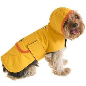 Spring Raincoats For Dogs