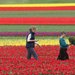Spring Has Sprung