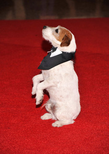 See All the Stars at the White House Correspondents' Dinner! See All the Stars at the White House Correspondents' Dinner!