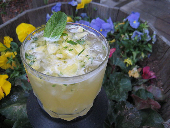 Tequila Cocktail Tequila Cocktail