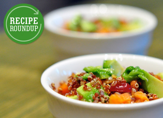 Best Avocado Recipes