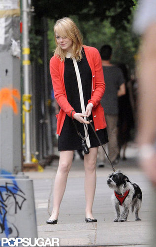 Emma Stone's dog accompanied her to say farewell to her mom after a visit in NYC.
Emma Stone's dog accompanied her to say farewell to her mom after a visit in NYC.