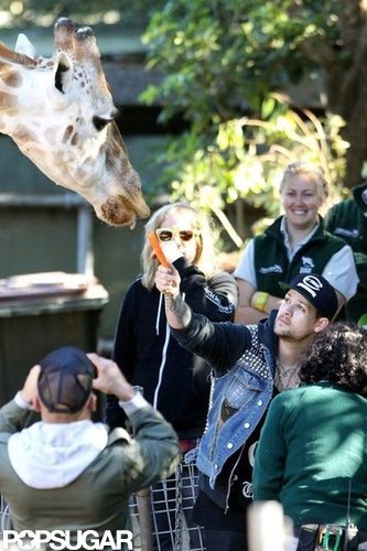 Nicole Richie and Joel Madden Take Their Little Ones to the Sydney Zoo Nicole Richie and Joel Madden Take Their Little Ones to the Sydney Zoo