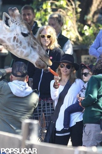 Nicole Richie and Joel Madden Take Their Little Ones to the Sydney Zoo Nicole Richie and Joel Madden Take Their Little Ones to the Sydney Zoo