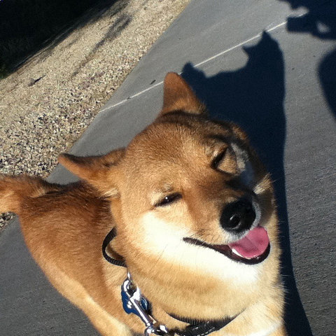 Basking In The Glory Of Today