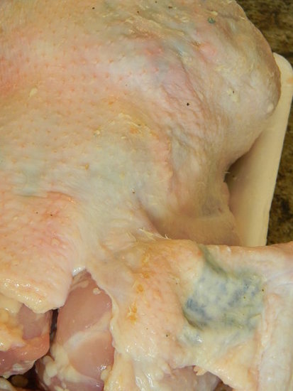 Wing Joint