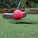 Hit the Greens