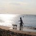 A Day at the Beach