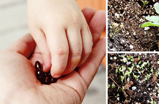 Plant Your Garden Together Plant Your Garden Together
