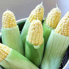 Cooking With Summer Vegetables