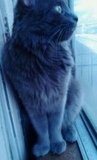 my beautiful JAY