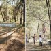 Tree-Hung Decor