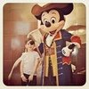Disney Cruise Line Tips
