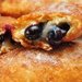 Alabama: Fried Apple Pies