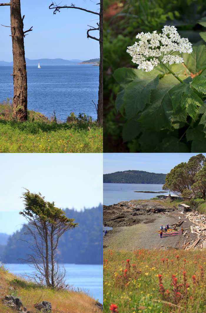 Yellow Island, WA State