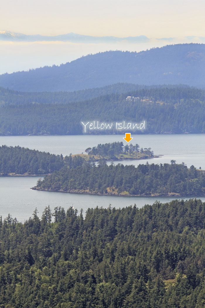 view of Yellow Island from the top of Turtleback Mtn, Orcas Island