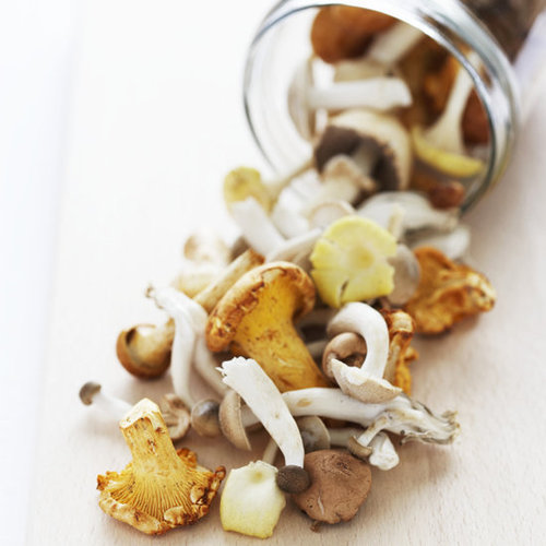 Mushrooms: Love Them or Leave Them? Mushrooms: Love Them or Leave Them?