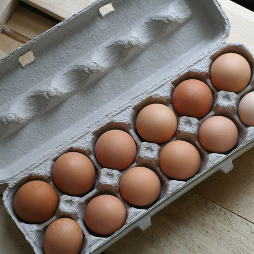 Eggs: Love Them or Leave Them? Eggs: Love Them or Leave Them?