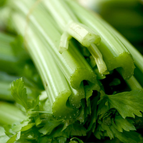 Celery: Love It or Leave It? Celery: Love It or Leave It?
