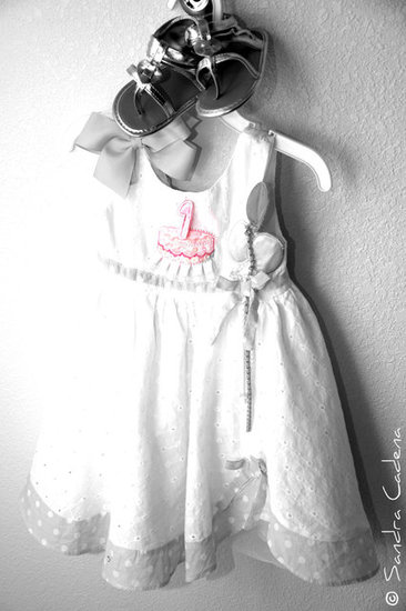 Ava Lynn's 1st Birthday Party Dress