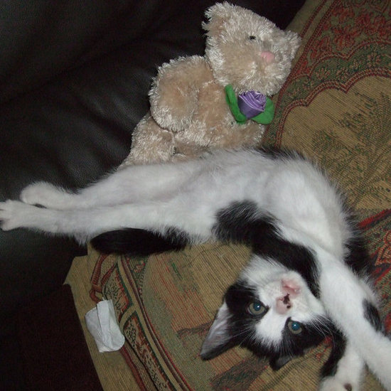 Don't mind me! I'm just going about my daily stretch routine.
Source: Flickr user bigpresh
Don't mind me! I'm just going about my daily stretch routine.
Source: Flickr user bigpresh