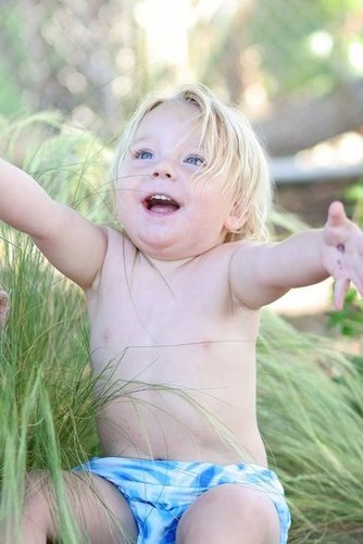 Bodhi 