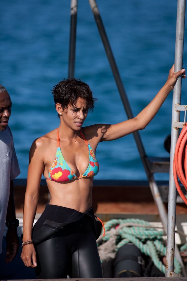 Halle Berry, Dark Tide Halle Berry, Dark Tide