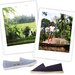 Summer Travel Guide: Bali Excursion