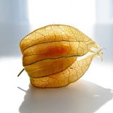 What Is This Vegetable? Obscure Summer Produce You Should Be Eating What Is This Vegetable? Obscure Summer Produce You Should Be Eating