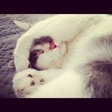 So Sleppy