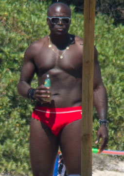 Seal Seal