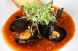 San Francisco Style Mussels Cioppino San Francisco Style Mussels Cioppino