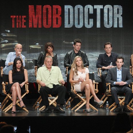 The Mob Doctor TV Show TCA Panel