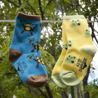 Solution For Missing Socks