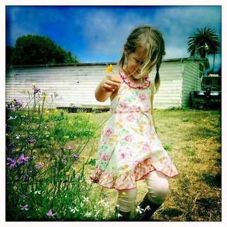 The Best Pictures of Summer