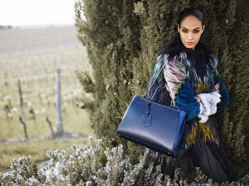 Joan Smalls looks gorgeous in a peacock-hued sweater from Fendi Fall 2012.
Joan Smalls looks gorgeous in a peacock-hued sweater from Fendi Fall 2012.