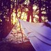 Pitch a Backyard Tent